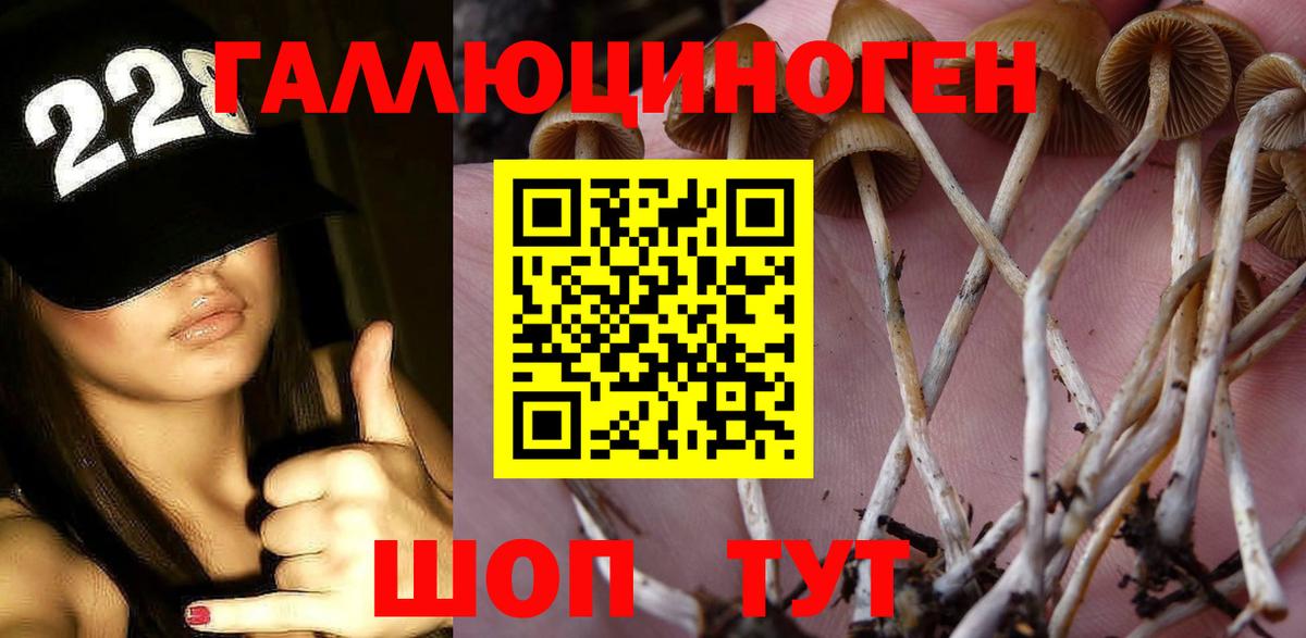 Троицк  Псилоцибиновые грибы GOLDEN TEACHER  Псилоцибиновые грибы Cubensis  Вход с VPN 