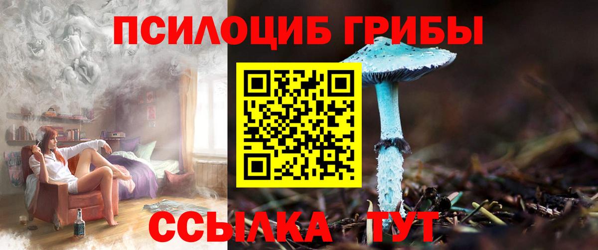 Псилоцибиновые грибы Cubensis Троицк